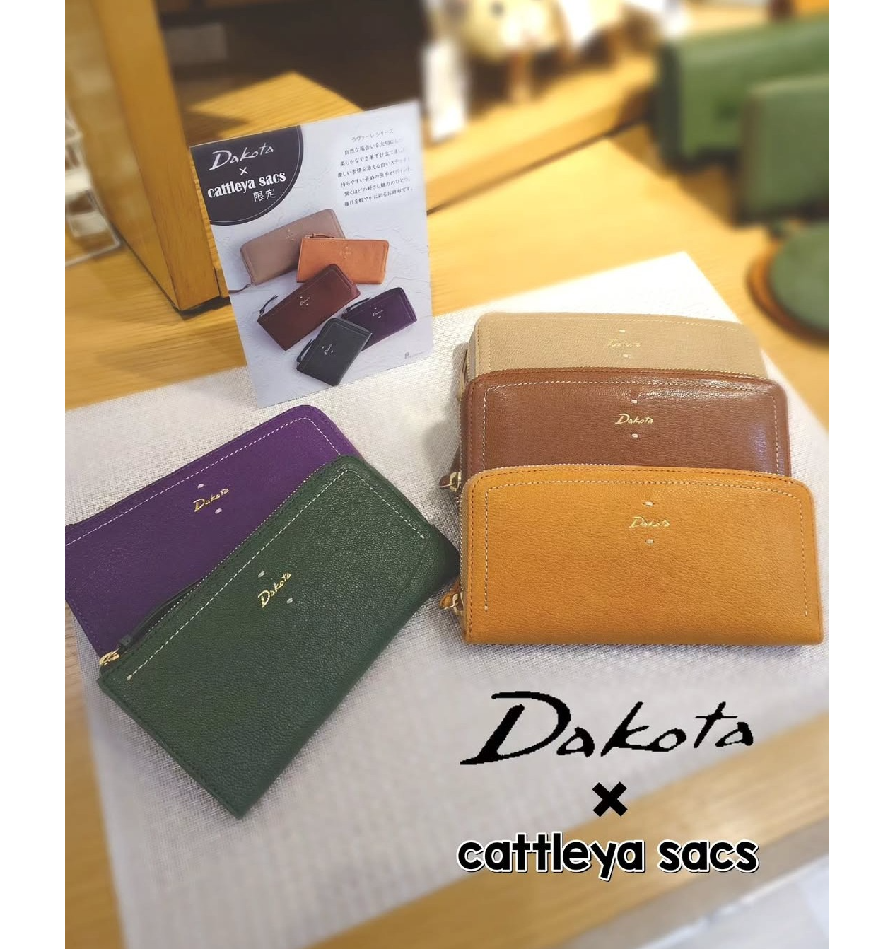☆Dakota×カトレア☆ │バッグのカトレア │ ショップブログ │ JR小倉
