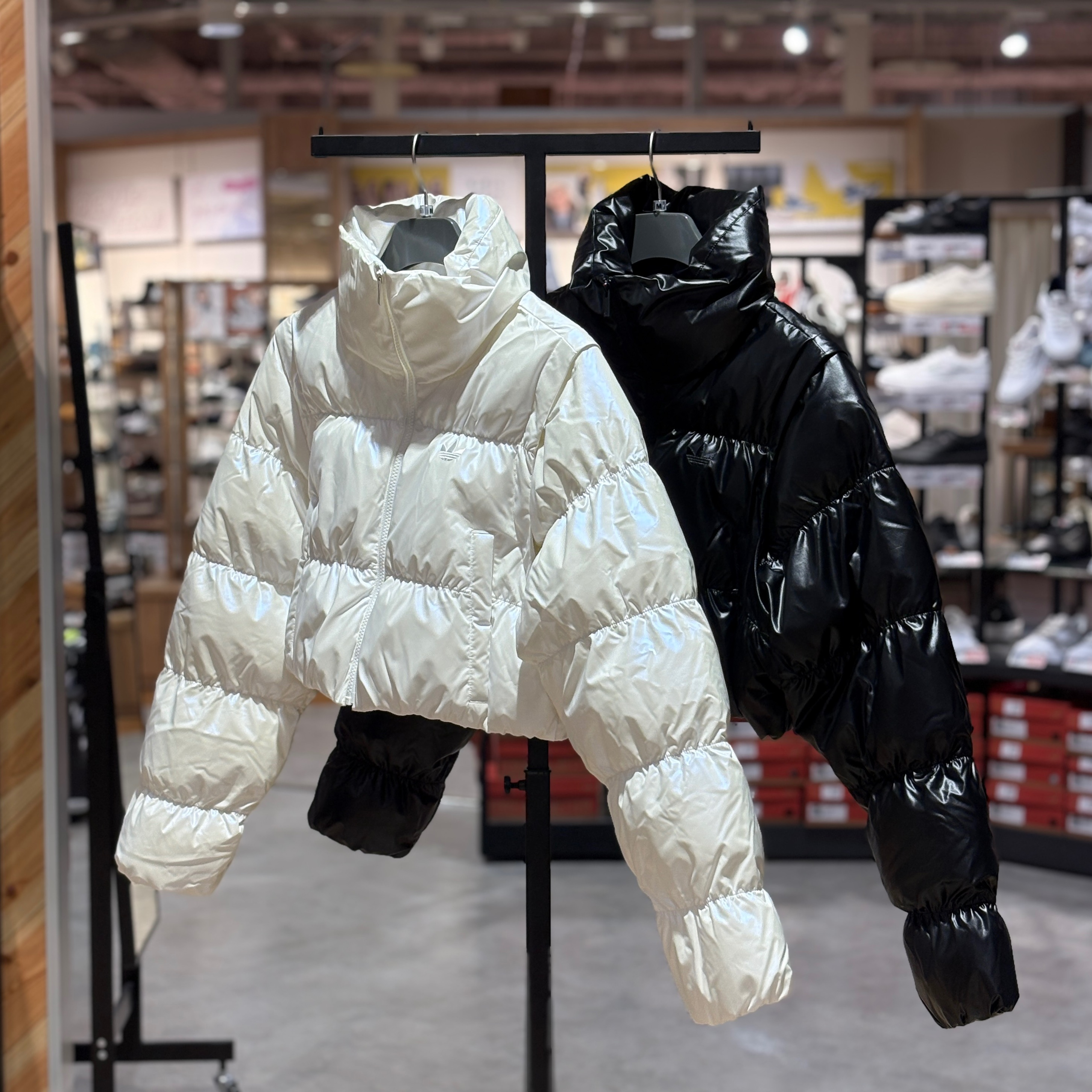 ADIDAS】New arrival ‼ │ABCマート スポーツ │ ショップブログ │ JR