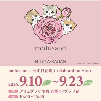 西館4階に「mofusand×日比谷花壇 Collaboration Store」が期間限定OPEN!!