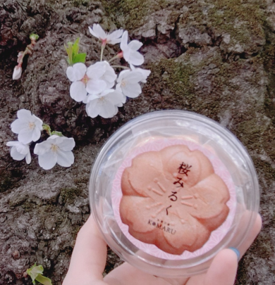 花より最中🌸