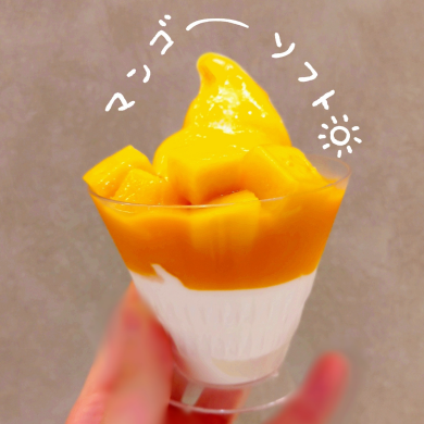 7月の期間限定マンゴーソフト販売！🥭🍦