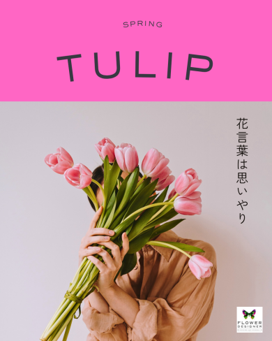 春の花❥チューリップ