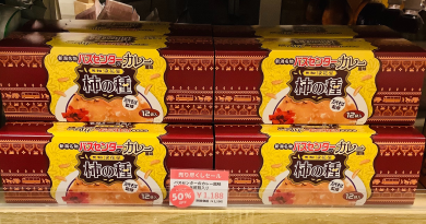 【50%OFF】バスセンターのカレー風味柿の種🍛