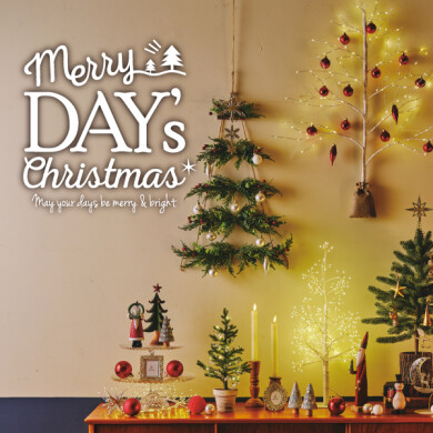 ダブルデイのクリスマス「Merry DAY’s Christmas」