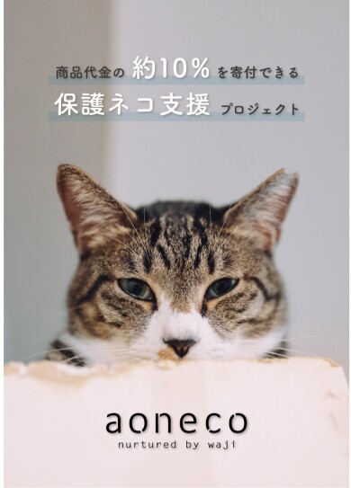 🐱aoneco🐱