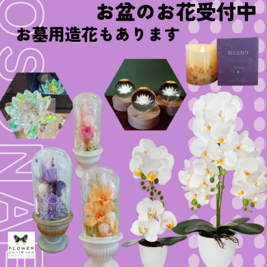 お供え❥プリザーブド・胡蝶蘭・その他