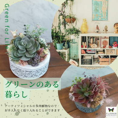 多肉植物❥アーティフィシャルフラワー