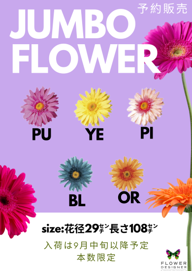 ジャンボフラワー❥予約承り中