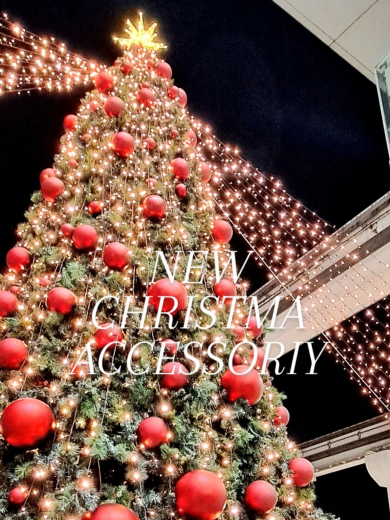 新作のクリスマスアクセサリー入荷しました⭐️