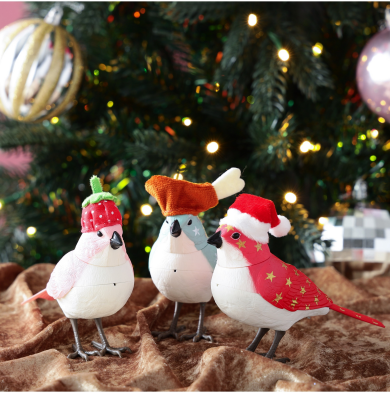 クリスマスらしい装いのミュージックバードが今年も登場🐥🌈