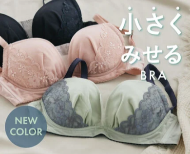 【新色】小さく見せるブラ【ミニマイザーブラ】