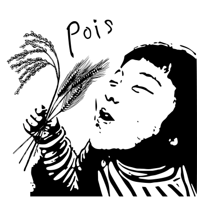 Pois（2026年9月10日OPEN）
