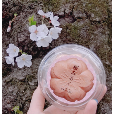 花より最中🌸