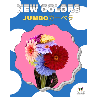 ジャンボフラワー❥ガーベラ