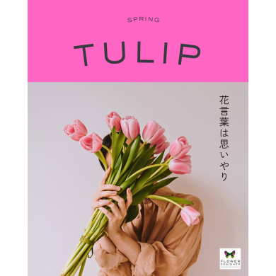 春の花❥チューリップ