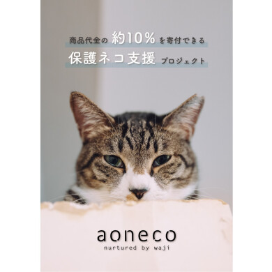 🐱aoneco🐱