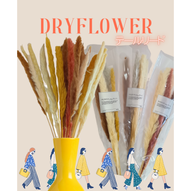 テールリード❥ドライフラワー