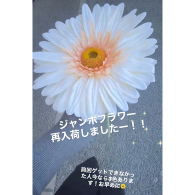ジャンボフラワー❥再入荷