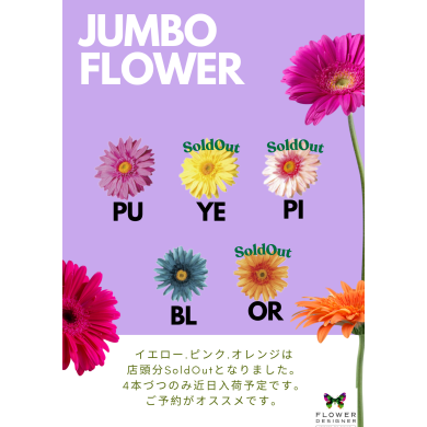 ジャンボフラワー追加入荷予定❥予約がオススメ