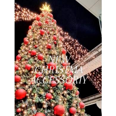 新作のクリスマスアクセサリー入荷しました⭐️