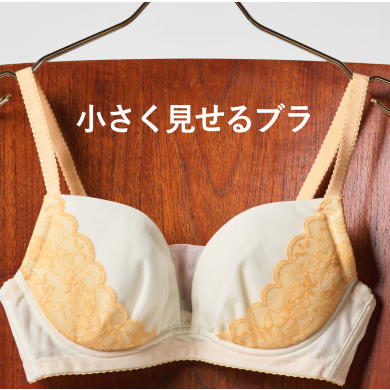 【新色】小さく見せるブラ【ミニマイザーブラ】