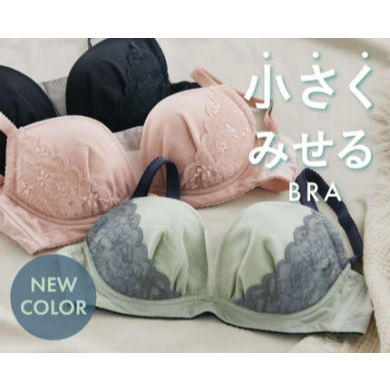 【新色】小さく見せるブラ【ミニマイザーブラ】