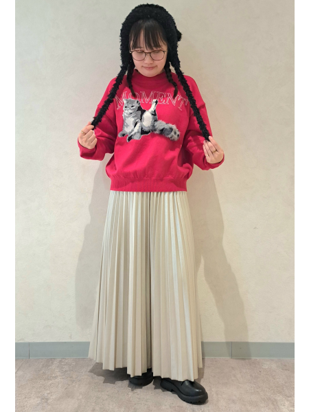 冬にオススメの猫コーデのご紹介🐈