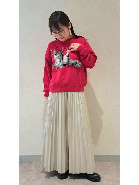 冬にオススメの猫コーデのご紹介🐈